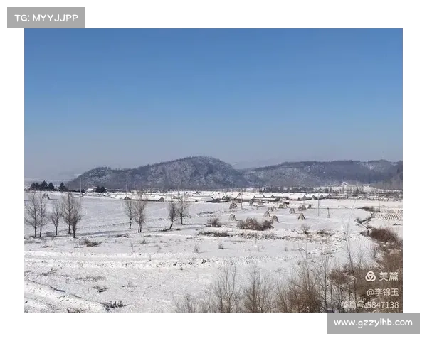冬季湖畔探秘之旅:沉浸自然魅力体验冰雪世界的绝美景致 冬季湖畔探秘之旅:沉浸自然魅力体验冰雪世界的绝美景致