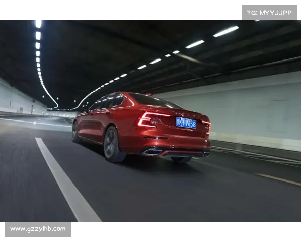 探索巴舒亚伊语言的独特魅力与文化深度解析 探索巴舒亚伊语言的独特魅力与文化深度解析