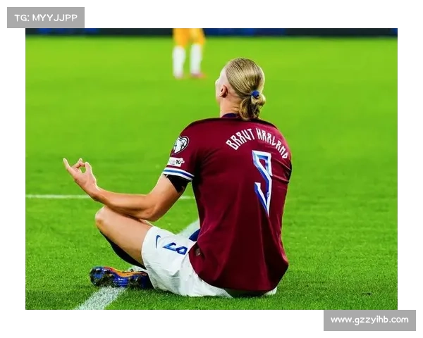 如何全面分析哈兰德的进球记录及其在场上表现的关键因素